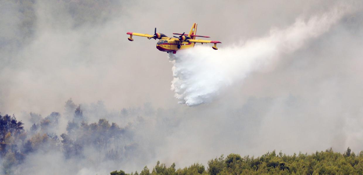 Canadair φωτιά πυρκαγιά αεροπλάνο