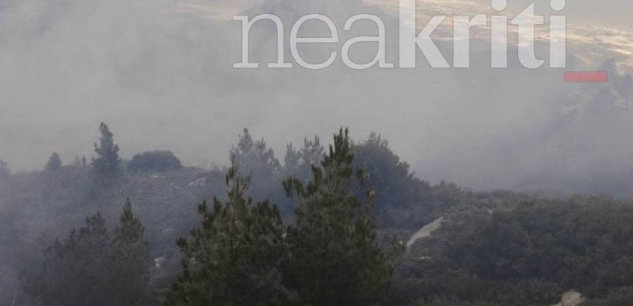 Φωτιά στα Καλαμαύκα Ιεράπετρας