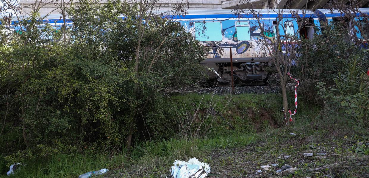 Λουλούδια στα Τέμπη