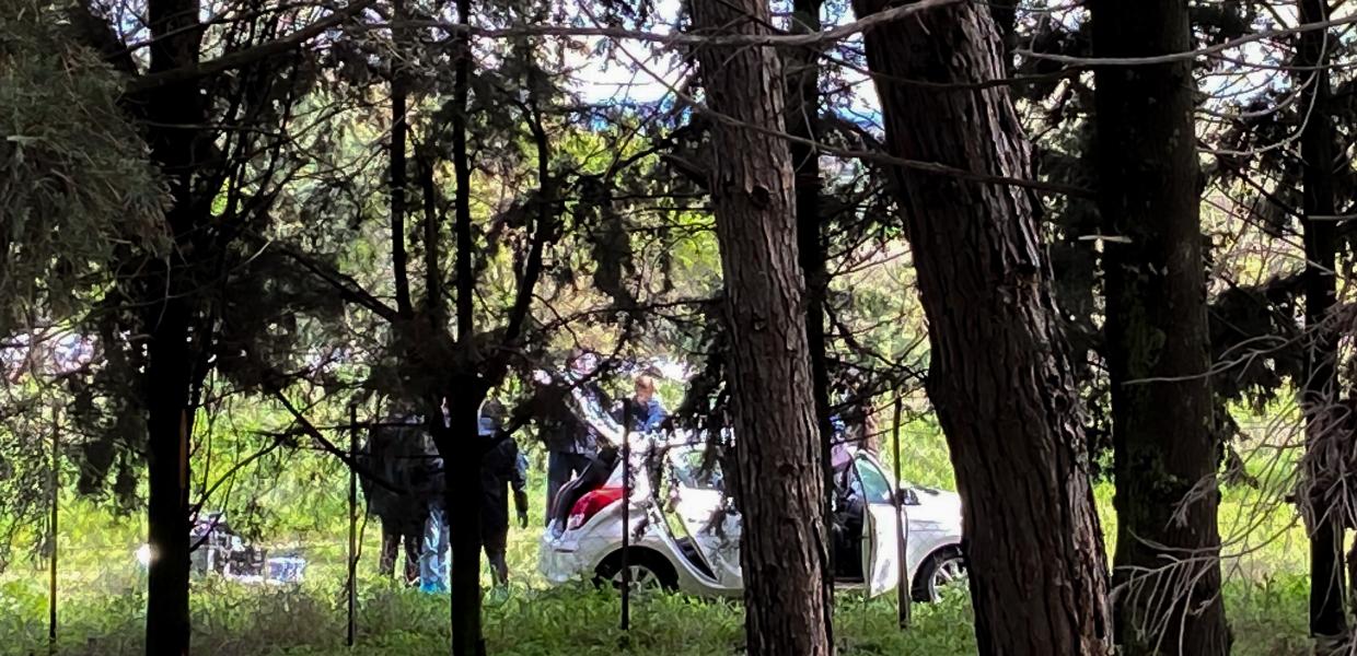 Αυτοκίνητο κοντά σε δέντρα