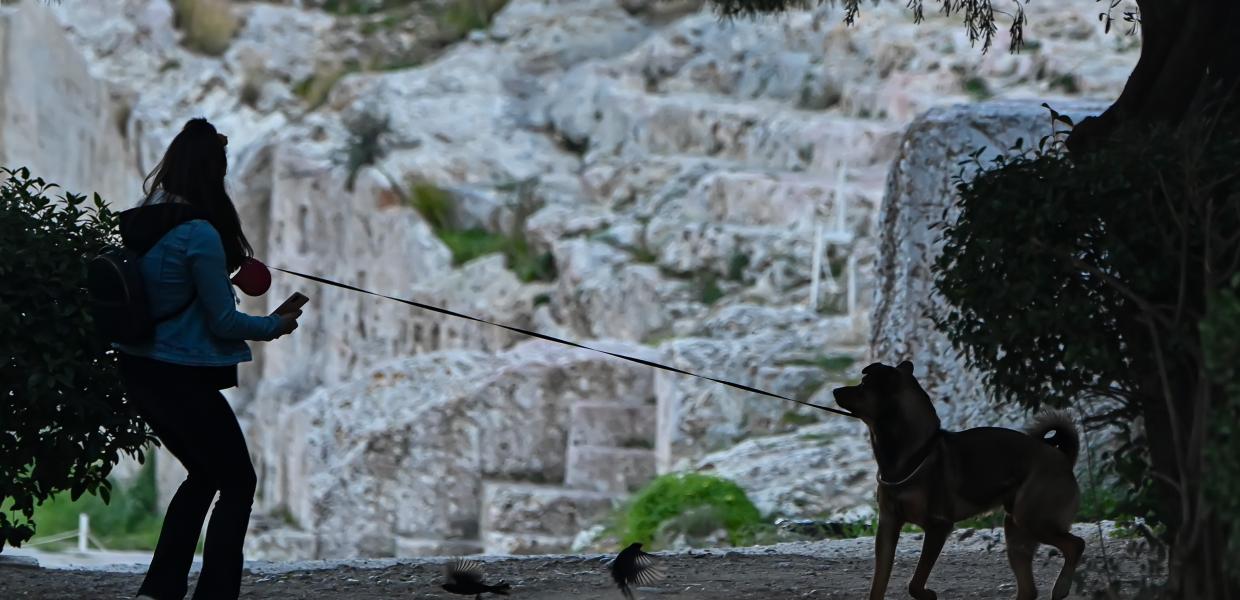 Αρχαιολογικός χώρος σκύλος