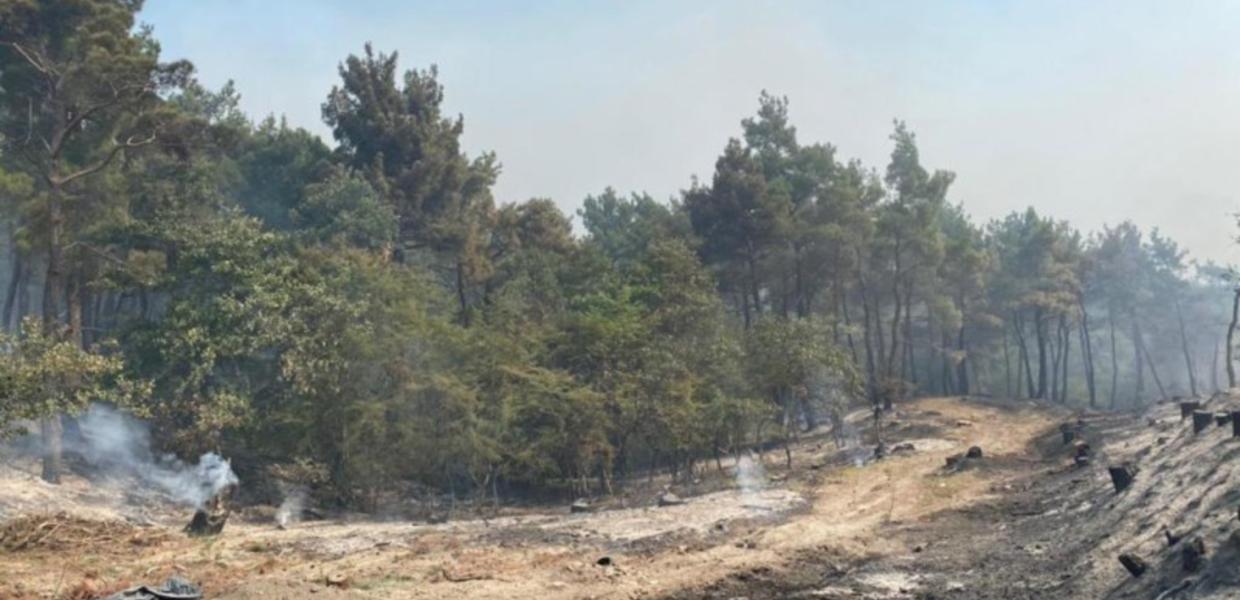 ΚΛΙΜΑΤΙΚΗ ΚΡΙΣΗ