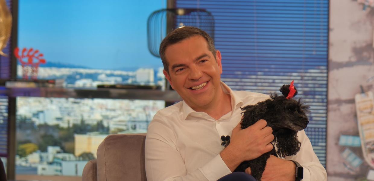 ΤΣΙΠΡΑΣ ΣΚΥΛΟΣ