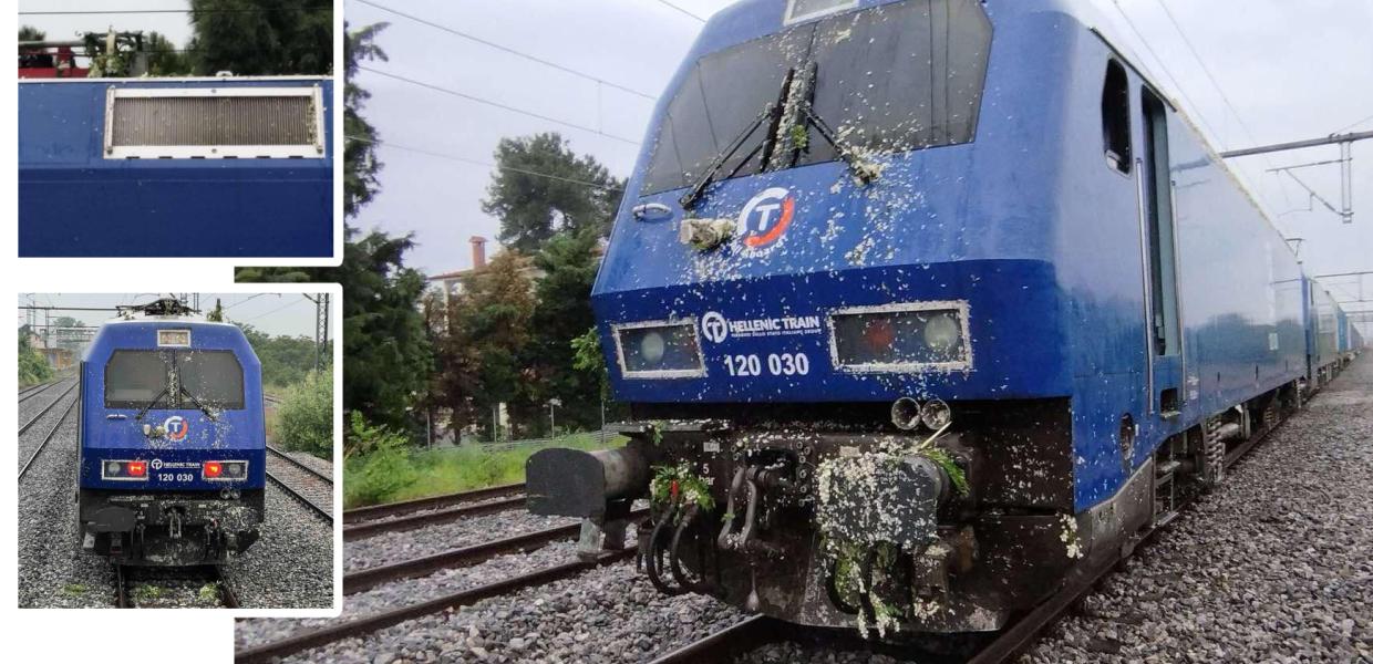 ΣΥΡΜΟΣ ΚΛΑΔΙΑ ΣΙΔΗΡΟΔΡΟΜΟΣ