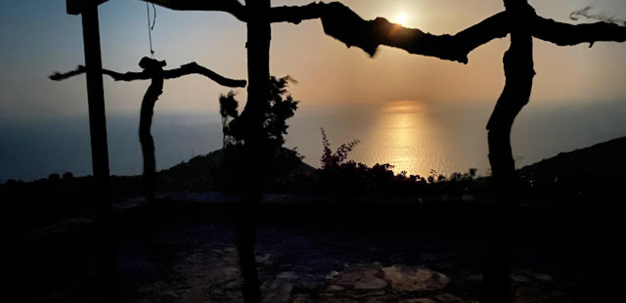 Λυδία Δαμπασίνα, Lorem Ipsum, 2021, κλαδιά βελανιδιάς