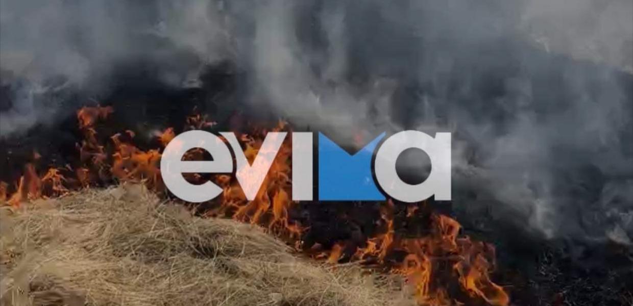 Φωτιά στην Εύβοια