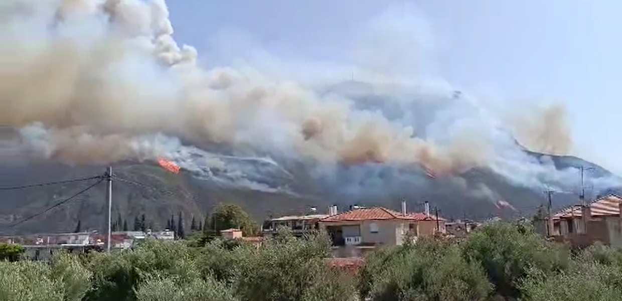 φωτιά αίγιο