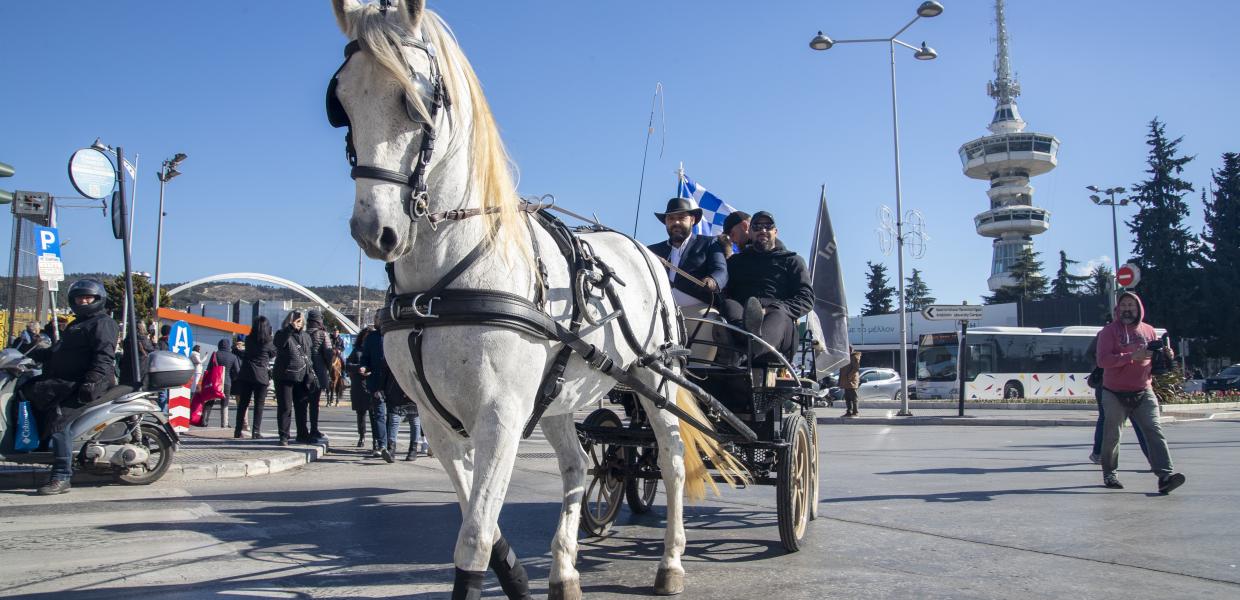 Άλογο σε άμαξα