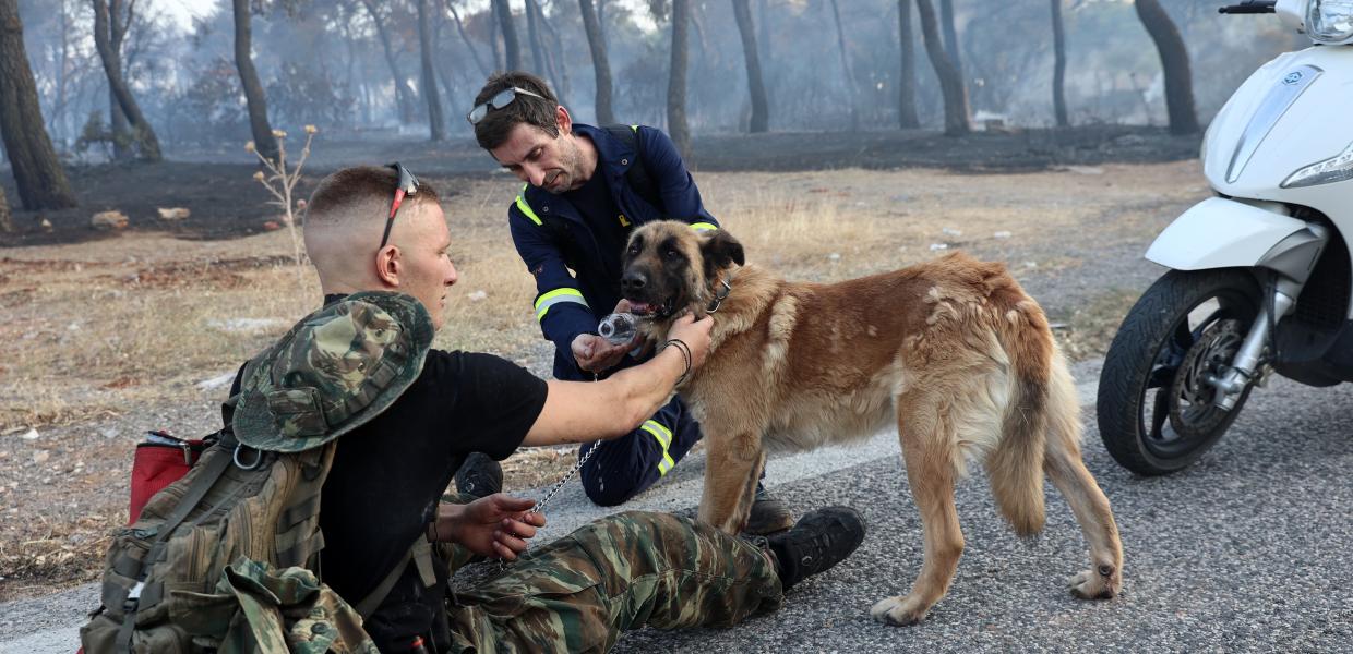 Διασώστης και πυροσβέστης αγκαλιά με τον σκύλο που διέσωσαν