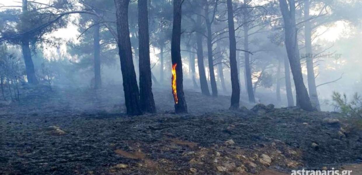 Πυρκαγιά Χίος
