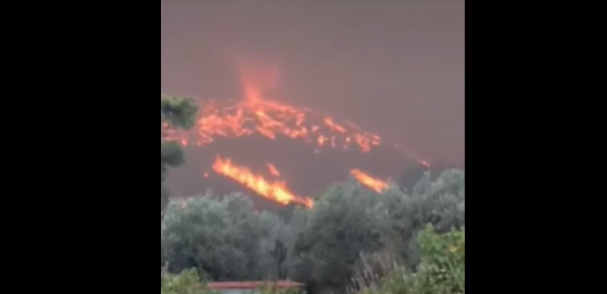 ΦΩΤΙΑ ΡΟΔΟΣ