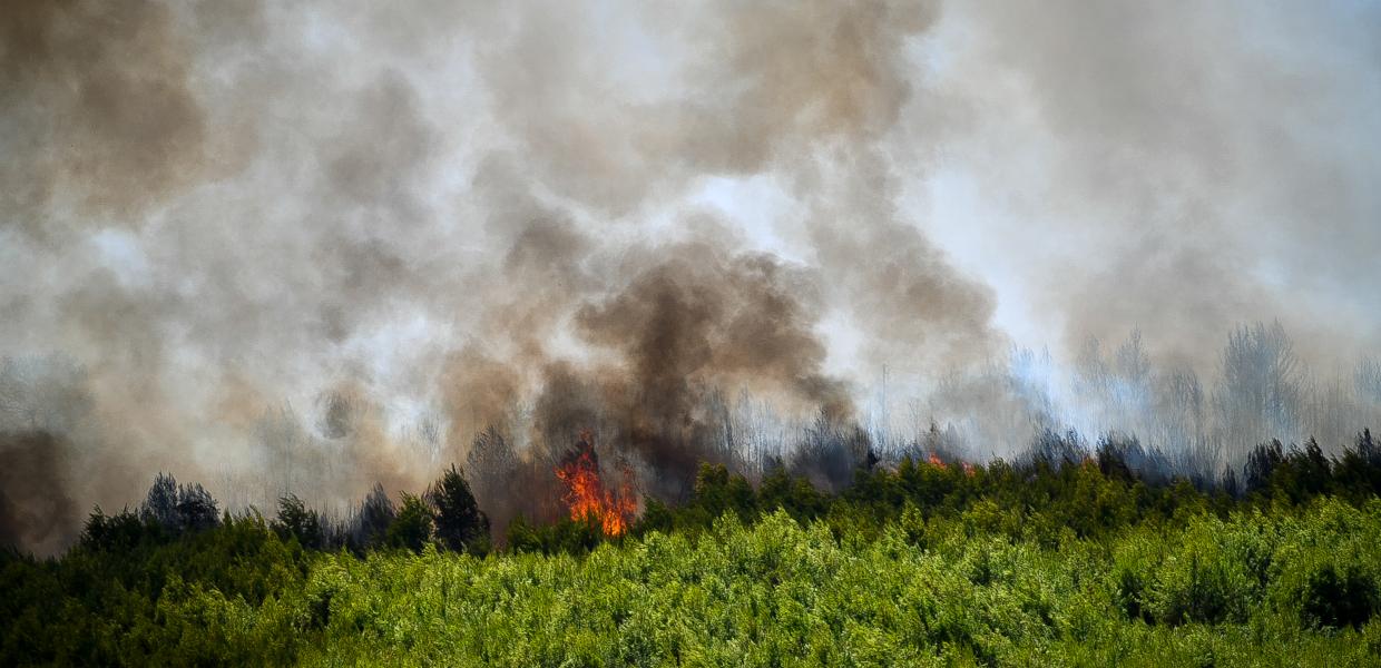 Πυρκαγιά στην Ηλεία 2023