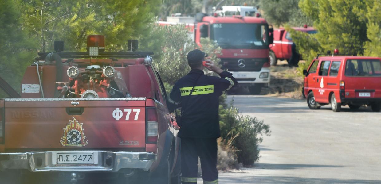 ΠΥΡΟΣΒΕΣΤΙΚΗ ΔΑΣΟΣ 