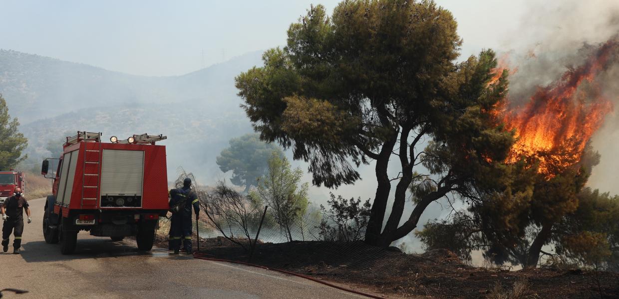 Πυροσβεστικό όχημα δίπλα σε δέντρο που έχει πάρει φωτιά