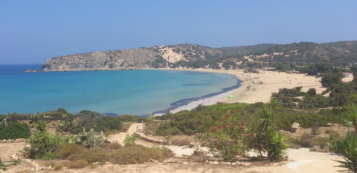 ΓΑΥΔΟΣ ΣΑΡΑΚΗΝΙΚΟ