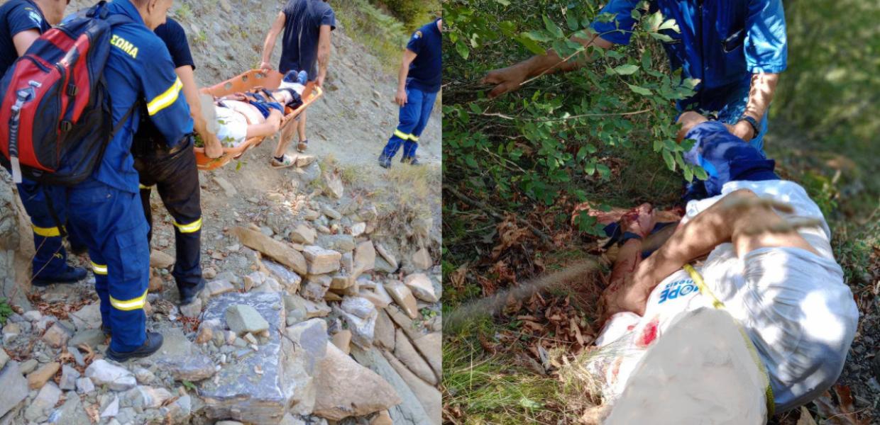 Επίθεση από αρκούδα Άρτα
