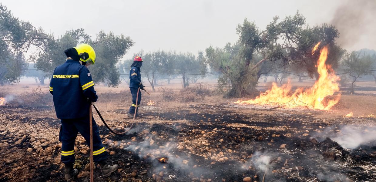 Φωτιά στην Εύβοια