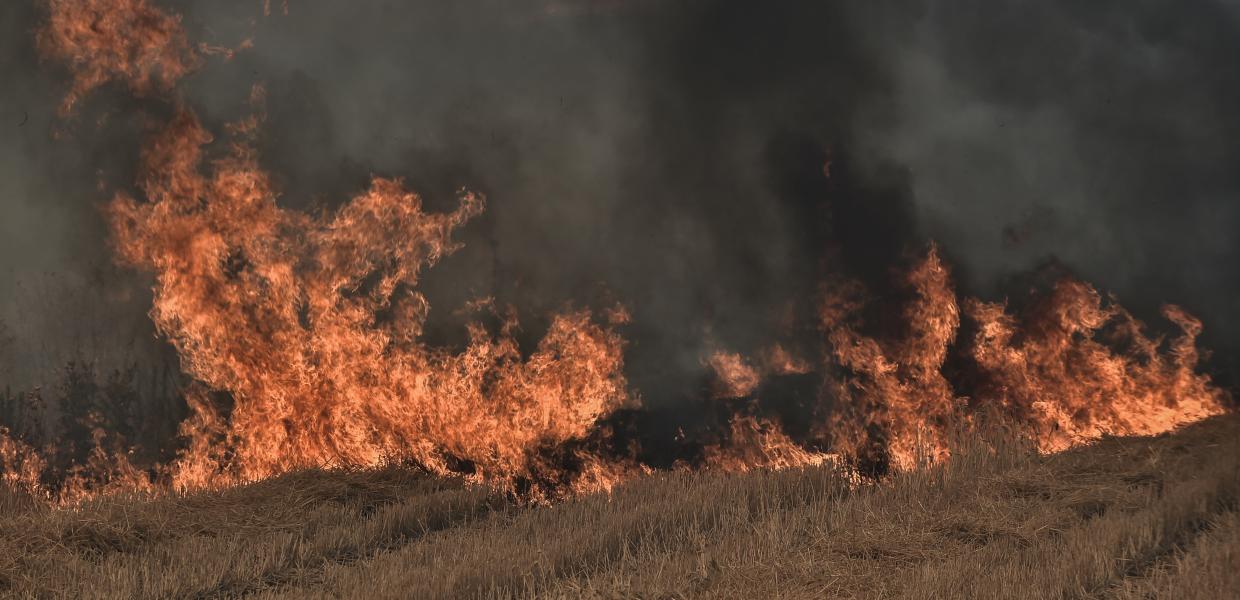 Φωτιά σε αγροτική έκταση