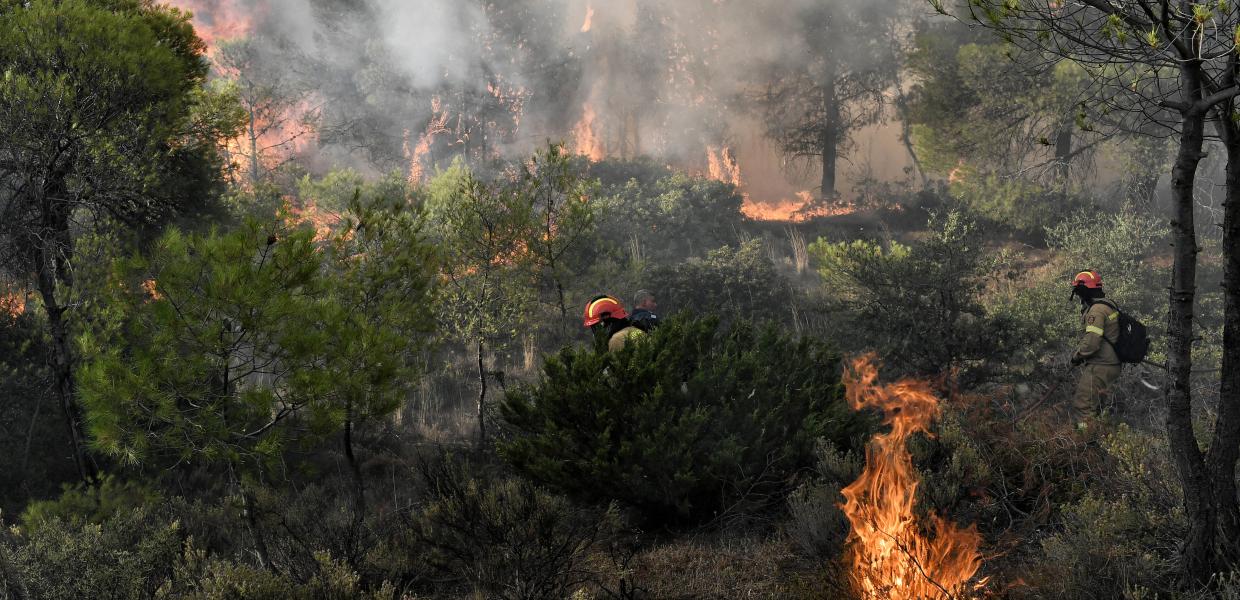 Πυροσβέστες σβήνουν φωτιές μέσα στο δάσος