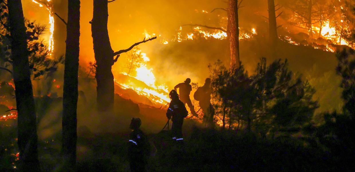 Πυροσβέστες σβήνουν τη φωτιά σε δάσος