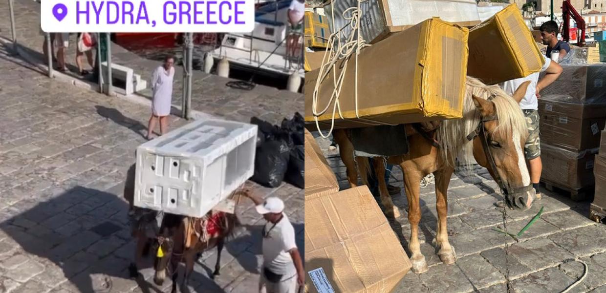 Ιπποειδή Ύδρα καταγγελία