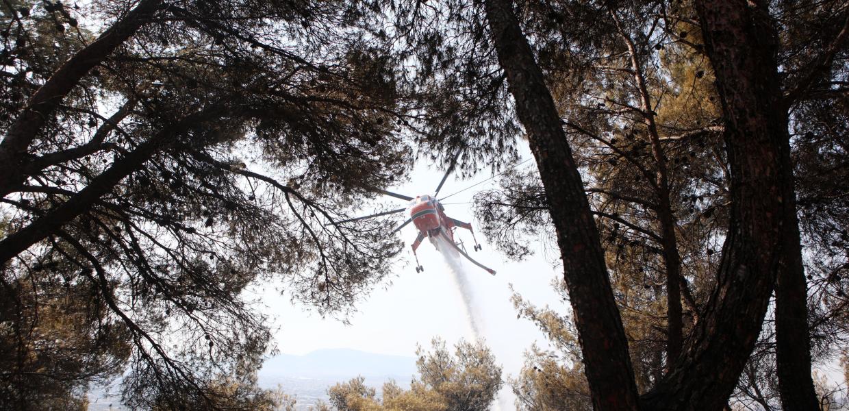 φωτιά πυρκαγιά Πάρνηθα ελικόπτερο