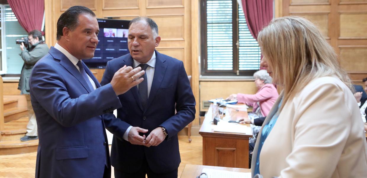 Ο Άδωνις Γεωργιάδης στη Βουλή