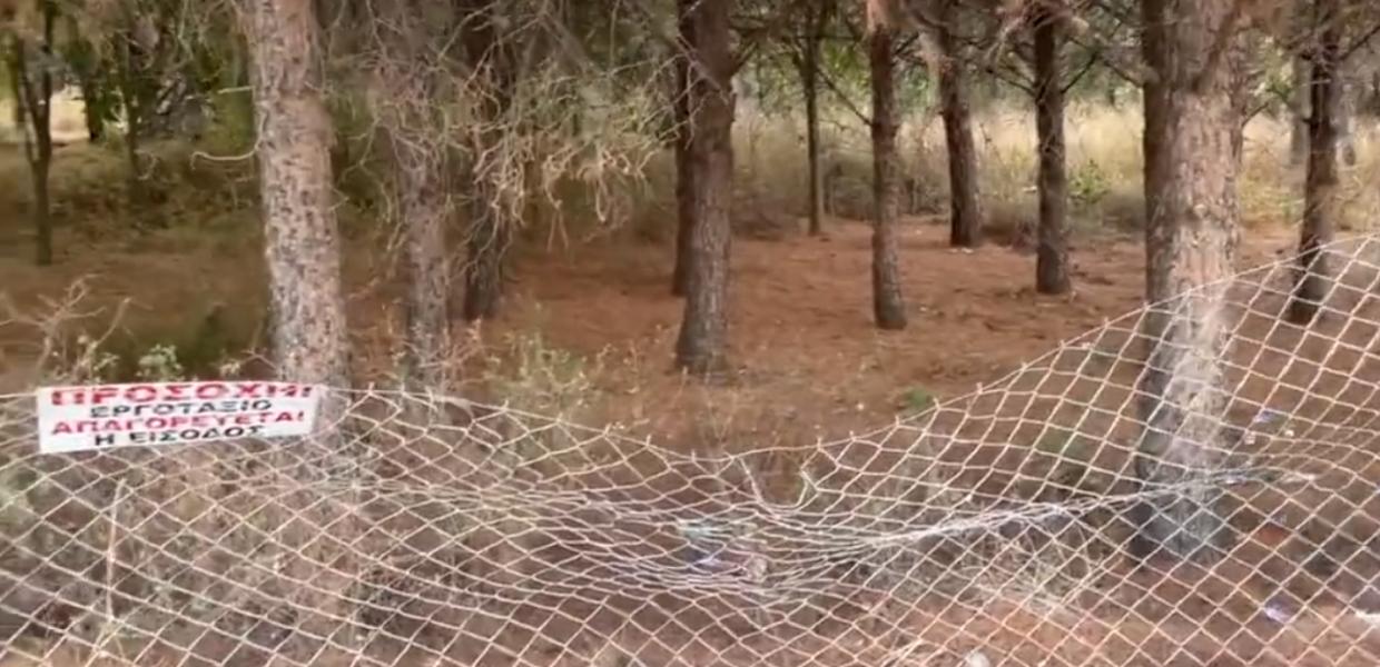 ΑΛΕΞΑΝΔΡΟΥΠΟΛΗ ΑΛΣΟΣ ΦΥΤΩΡΙΟΥ
