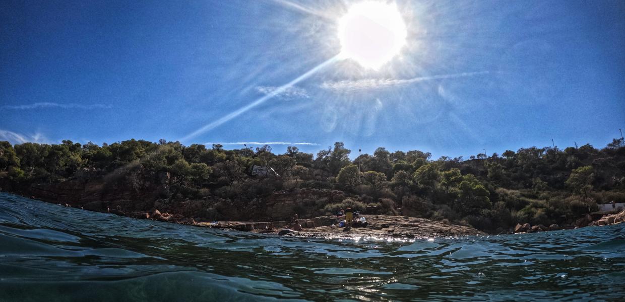 Ο ήλιος, η θάλασσα και πίσω δάσος