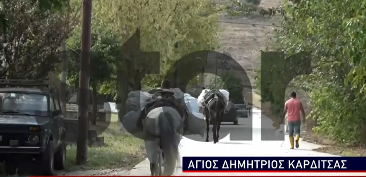 Άλογα Καρδίτσα κακοκαιρία 