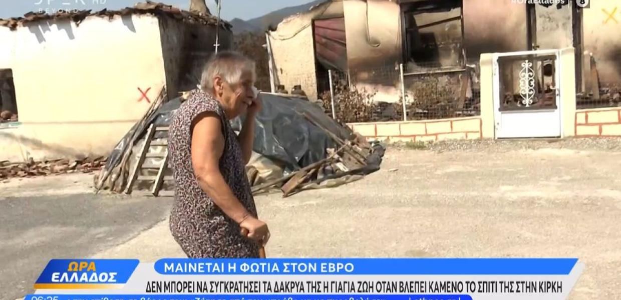 Κίρκη έβροσ