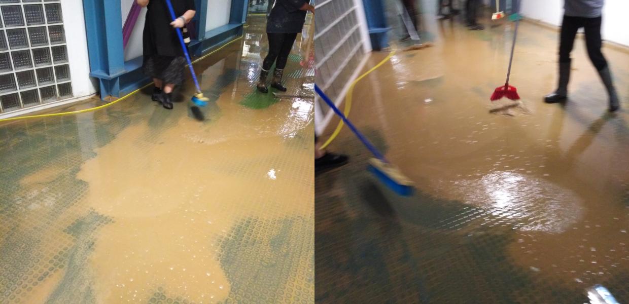 Καθαρίστριες Βόλος 