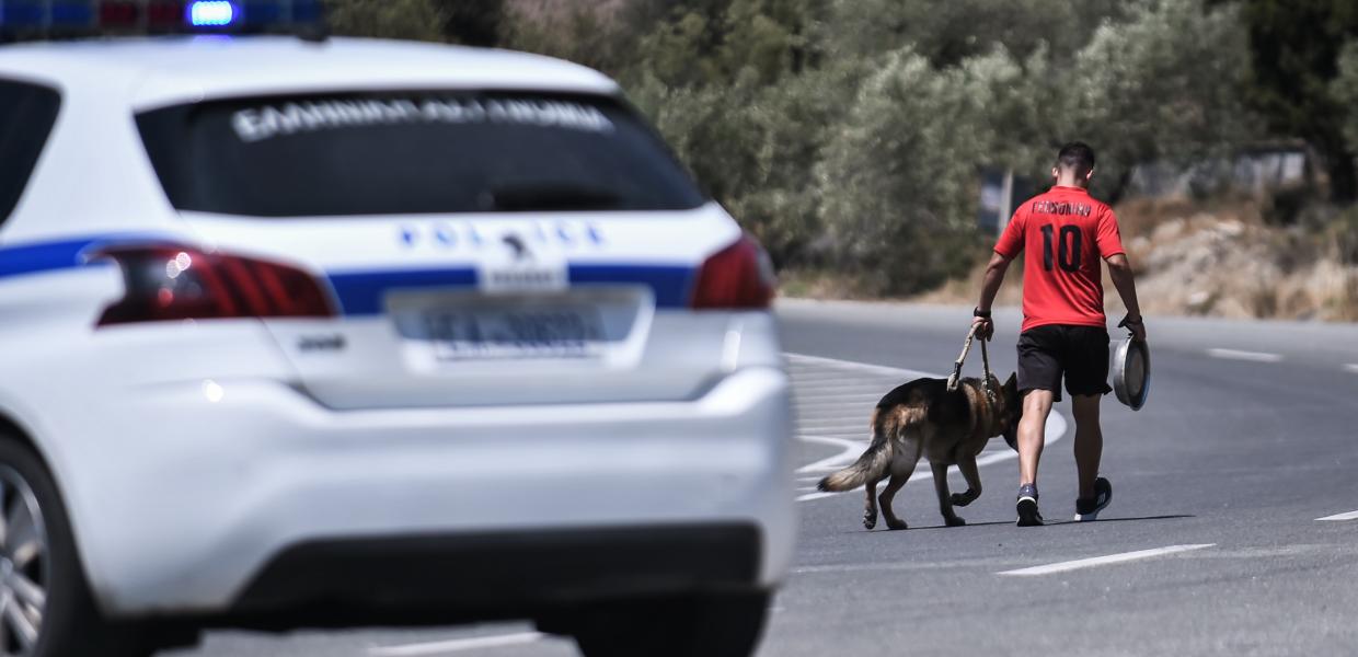Περιπολικό