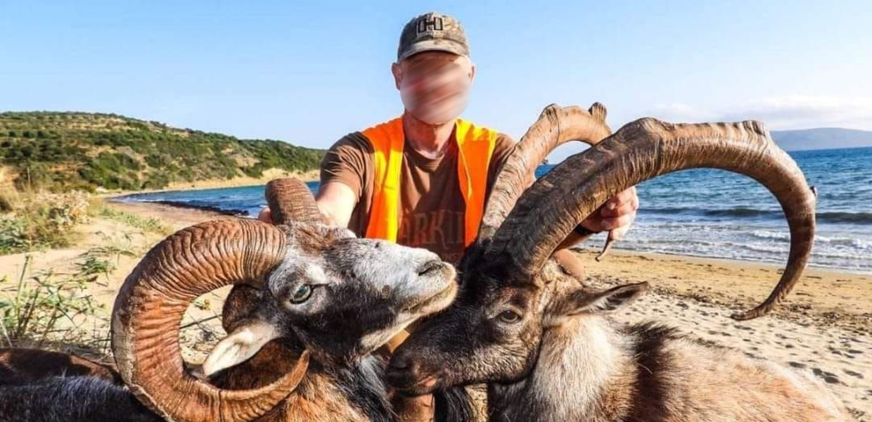 Κυνηγός