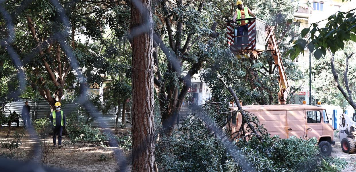 Εξάρχεια μετρό δέντρα