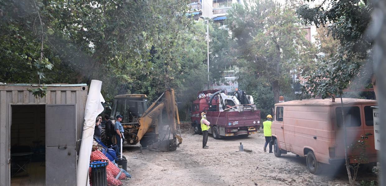 Κοπή δέντρων στα Εξάρχεια