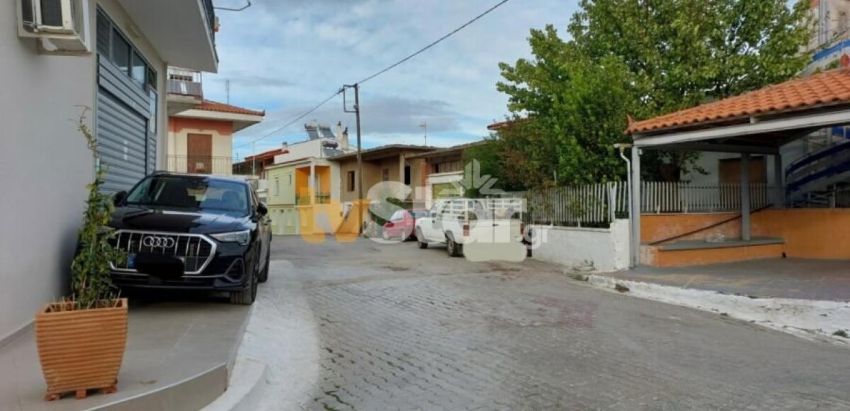 Λεοντάρι 17χρονος Ρομά