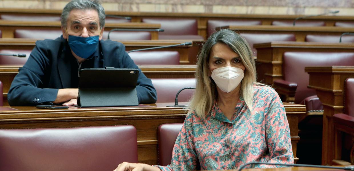 Ευκλείδης Τσακαλώτος και Πέτη Πέρκα