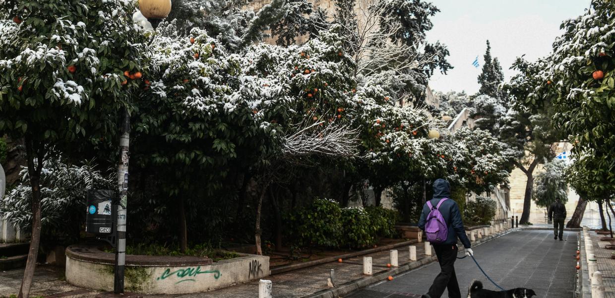 Άνθρωπος με σκύλο περπατά σε χιονισμένο δρόμο της Αθήνας