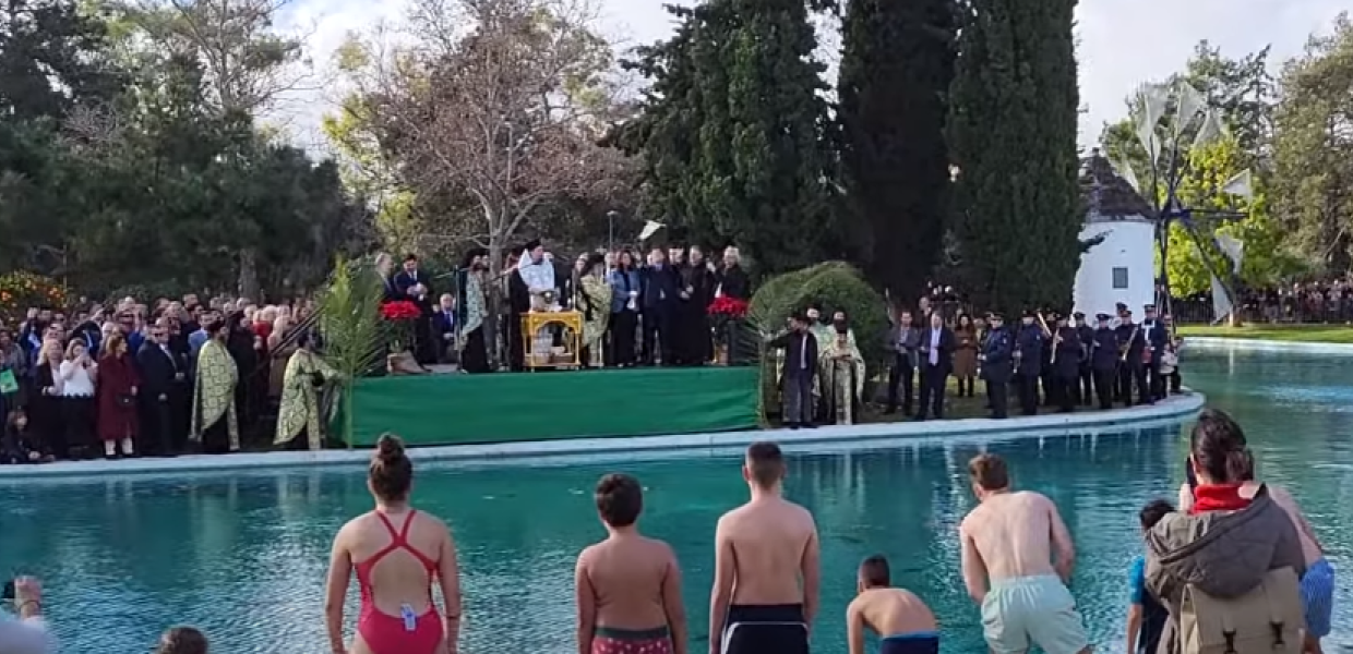 Άδωνις περιστέρι 