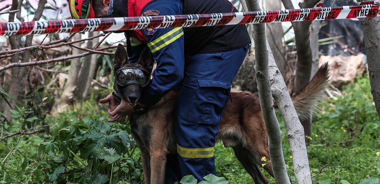 ΕΜΑΚ ΣΚΥΛΟΣ