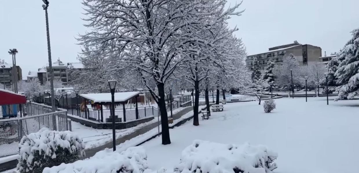 Χιονιά στην Φλώρινα