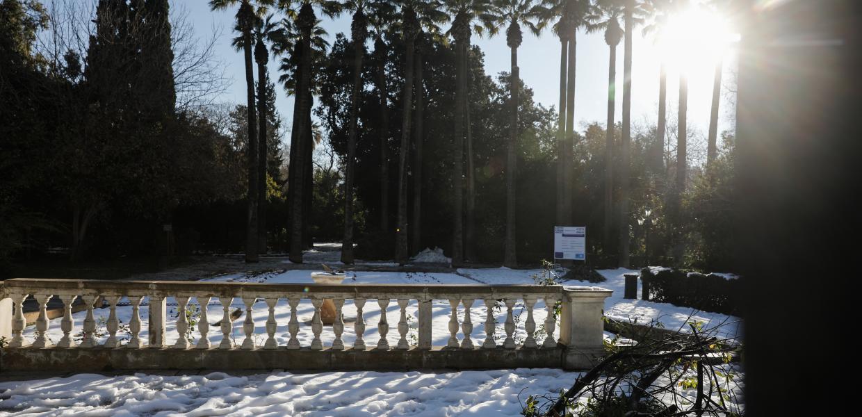 Χιόνια στον εθνικό κήπο