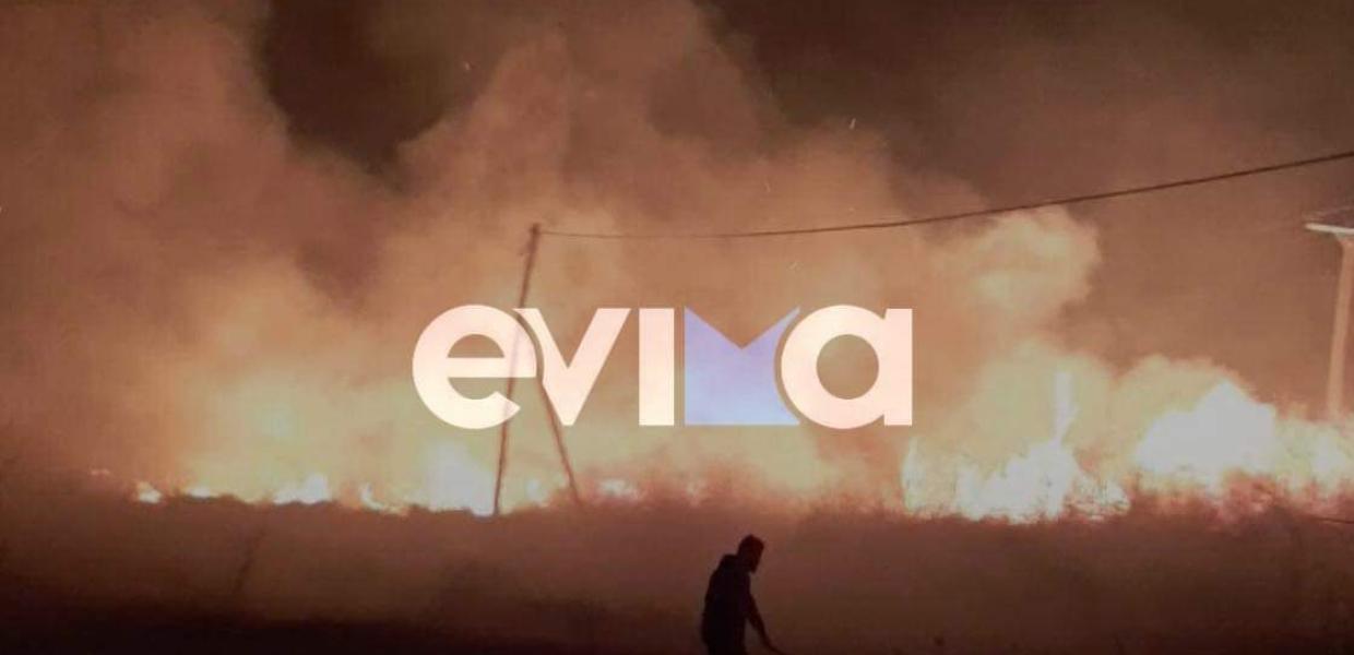 Φωτιά Εύβοια