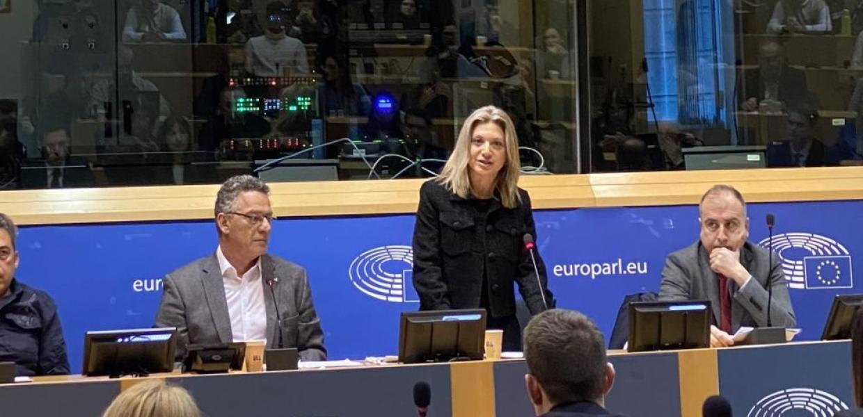 Η Μαρία Καρυστιανού μιλά στο Ευρωπαϊκό Κοινοβούλιο