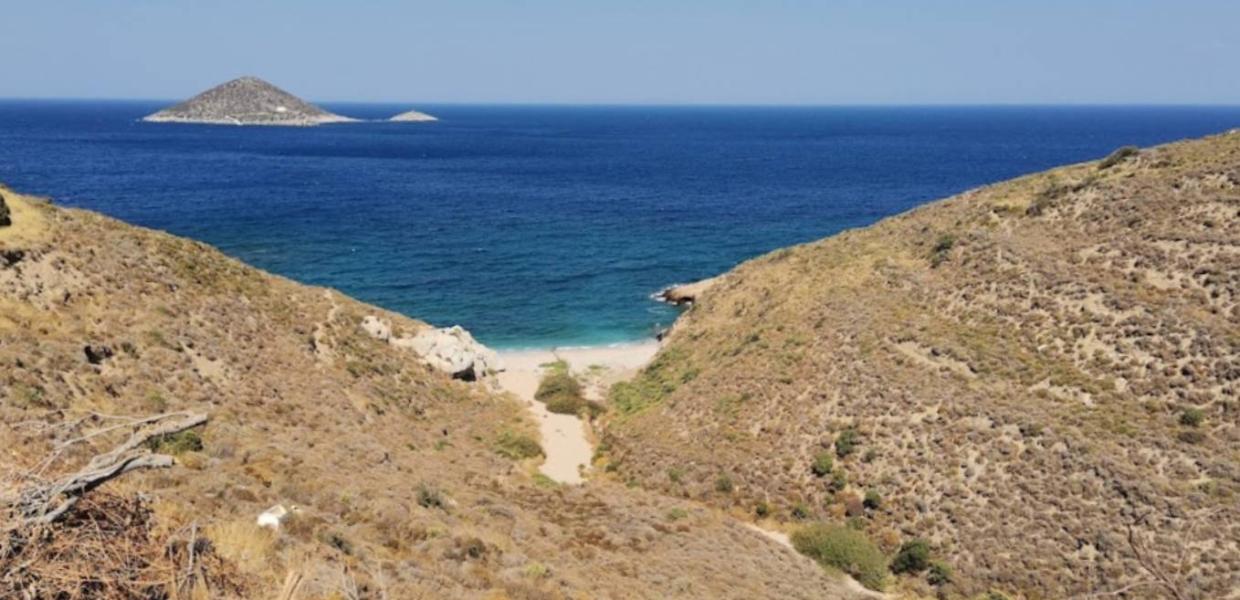 ΛΕΡΟΣ ΜΙΚΙΟ ΝΤΑΜΑΡΙ