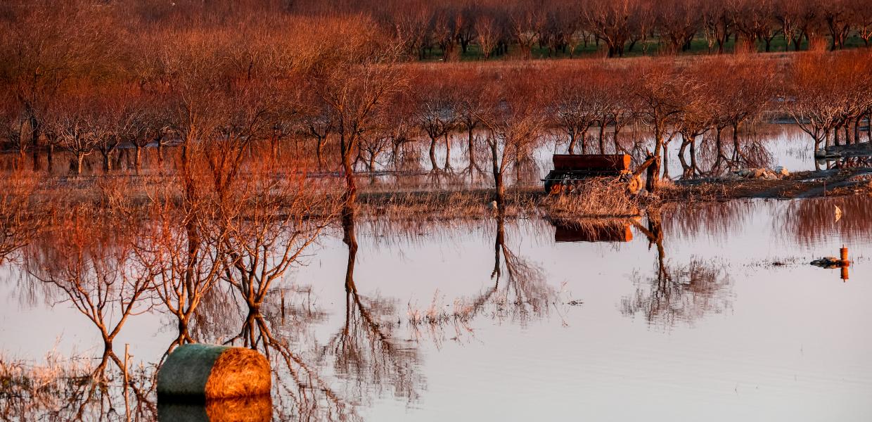 Πλημμυρισμένα στρέμματα στη λίμνη Κάρλα
