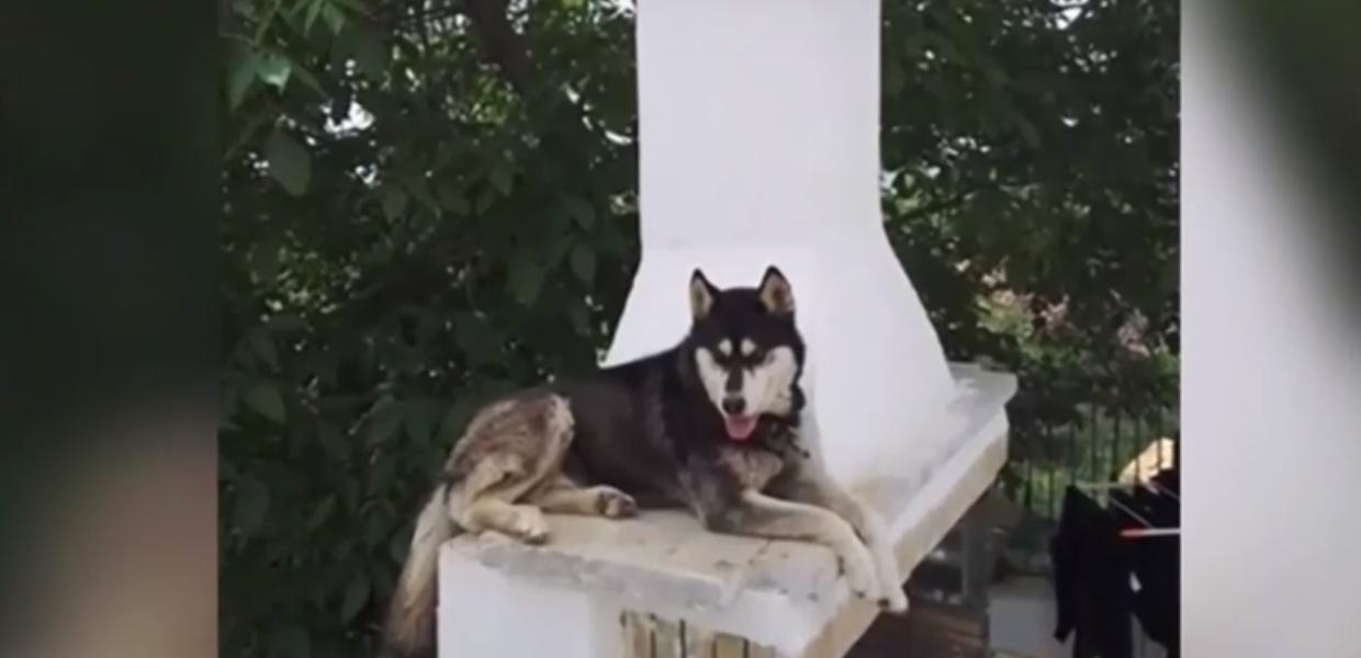 Ο Όλιβερ