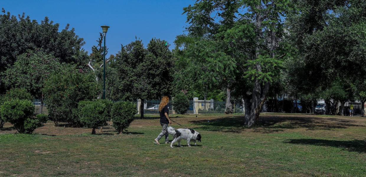 ΑΚΑΔΗΜΙΑΣ ΠΛΑΤΩΝΟΣ