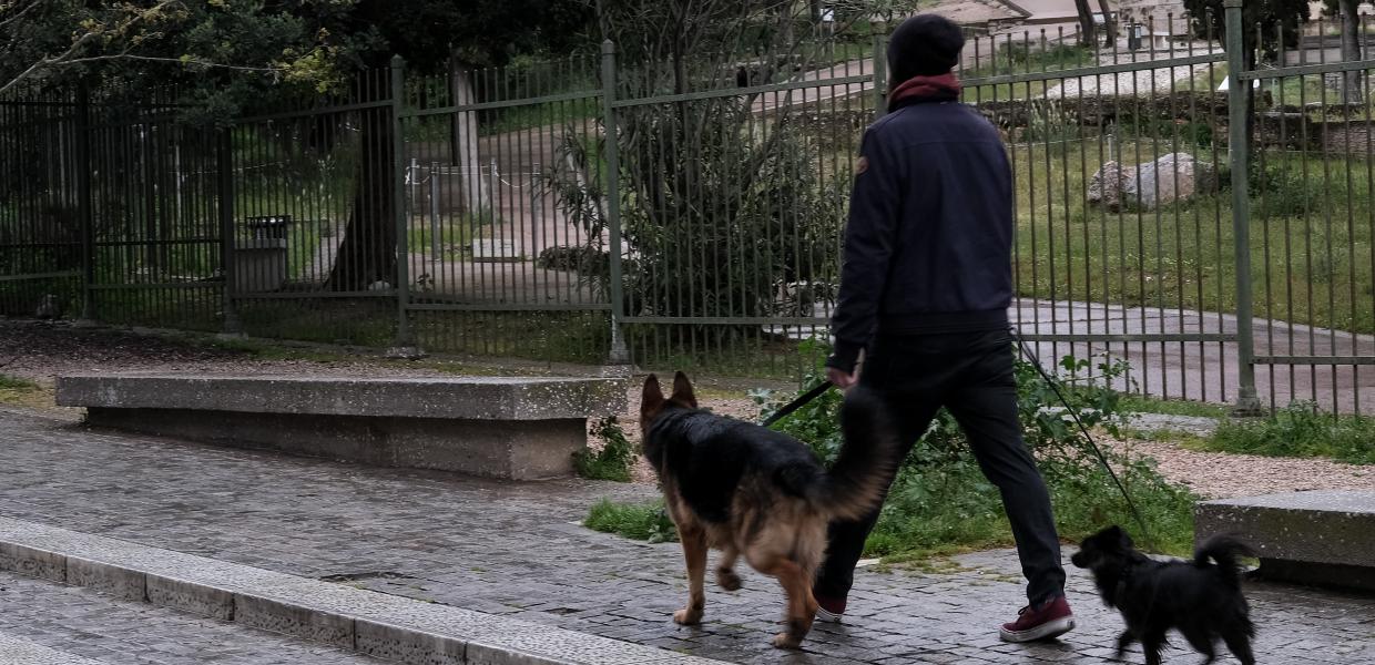 βόλτα Αθήνα σκύλος
